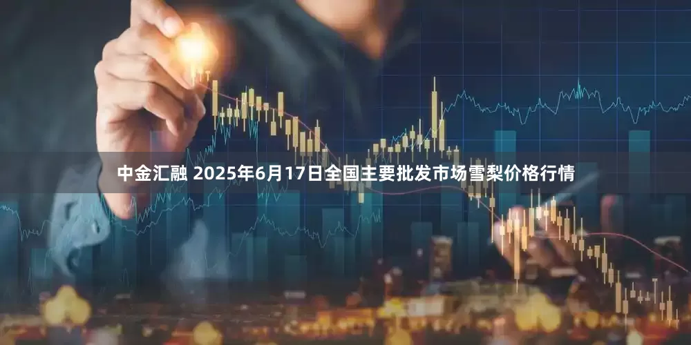 中金汇融 2025年6月17日全国主要批发市场雪梨价格行情