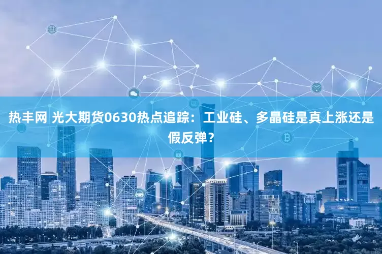 热丰网 光大期货0630热点追踪：工业硅、多晶硅是真上涨还是假反弹？