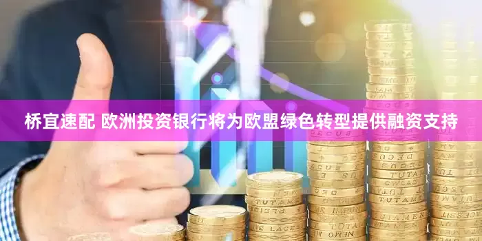 桥宜速配 欧洲投资银行将为欧盟绿色转型提供融资支持
