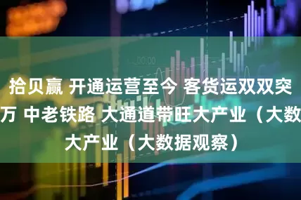 拾贝赢 开通运营至今 客货运双双突破5000万 中老铁路 大通道带旺大产业（大数据观察）