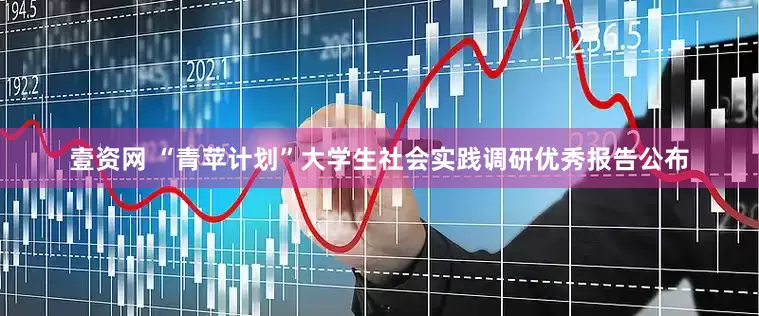 壹资网 “青苹计划”大学生社会实践调研优秀报告公布