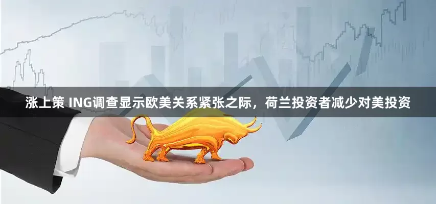涨上策 ING调查显示欧美关系紧张之际，荷兰投资者减少对美投资